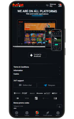 pin-up bet apk download