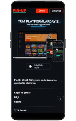 pin-up bet apk indir