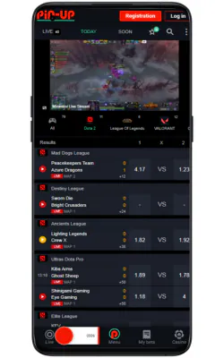 pin-upbet mobile app