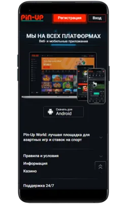 pin-up bet apk download