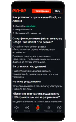 Pin-Up APK App Security