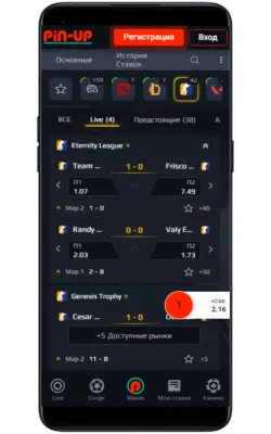 pin-upbet mobile app