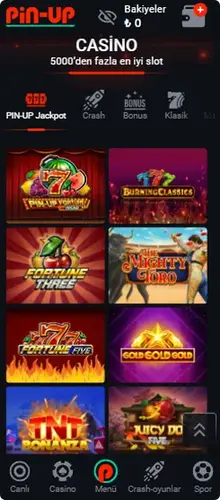 Pin-Up Casino App