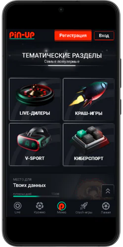 Разделы на тему Pin Up casino