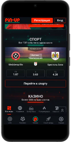 Pin Up casino спорт