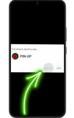 Орнату Pin Up